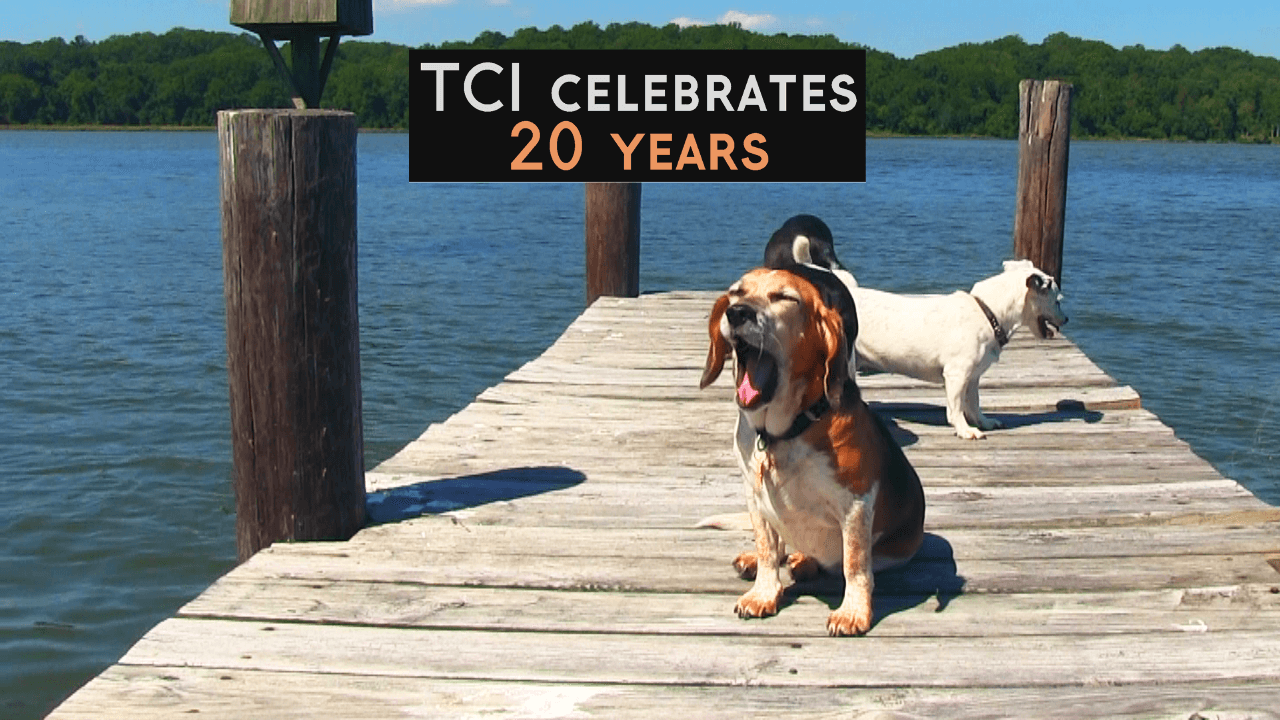 A video celebrating twenty years of Tobin Communications.